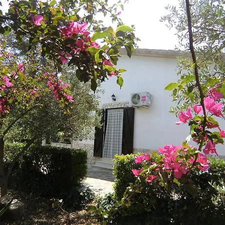 Sea Holidays Holiday home